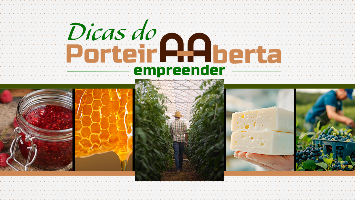Saiba como produtores de chás se tornaram referência nacional
