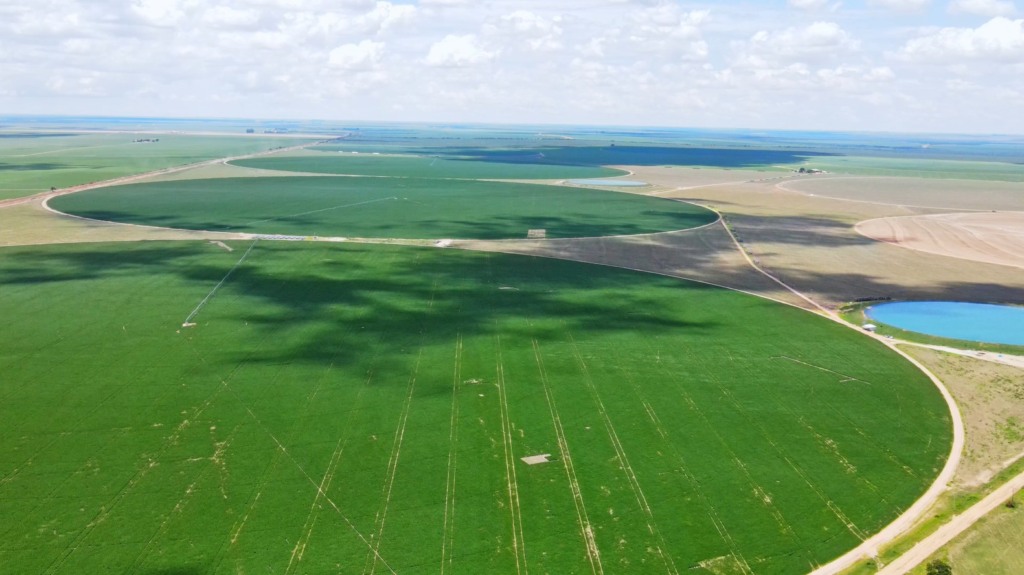 Fazenda em Luís Eduardo Magalhães, no Oeste da Bahia; soja, grãos