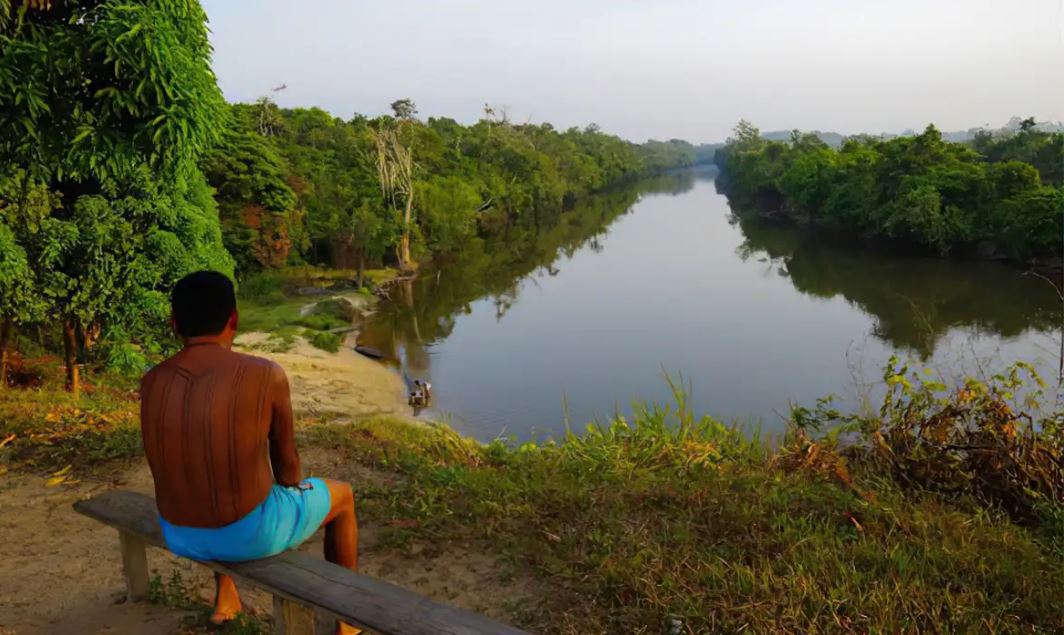 Terras indígenas da Amazônia influenciam chuvas que abastecem o agro