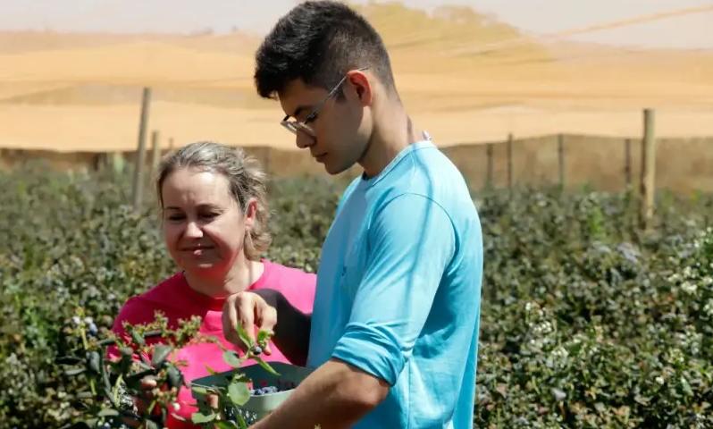 Homem e mulher em meio a uma plantação