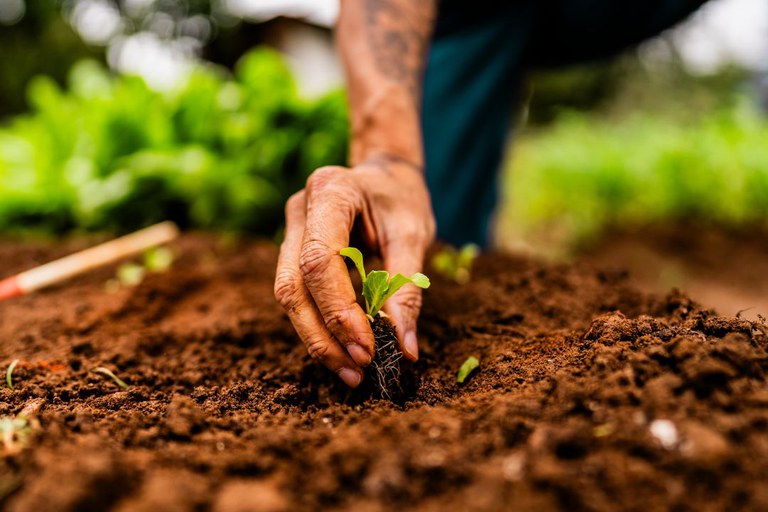 Plataforma Agro Brasil + Sustentável impulsiona boas práticas na Bahia, ministério a agricultura (mapa)