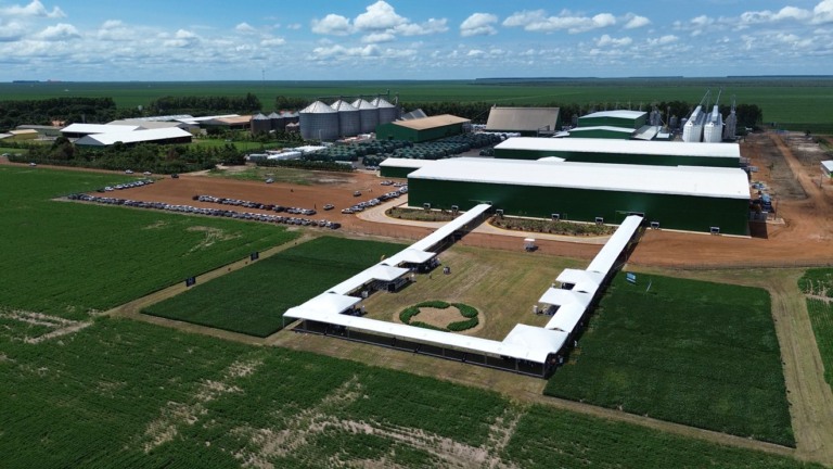 Fazenda Progresso, Sebastião Leal (PI), dia de campo do Grupo Progresso Sementes