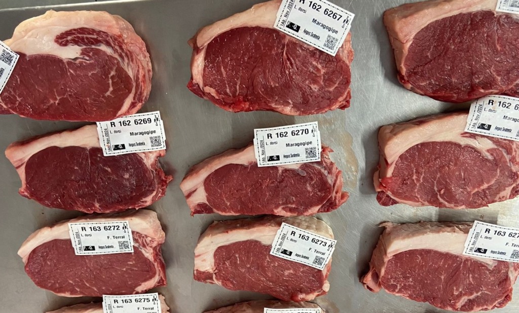 Amostras de carne que serão analisadas na Embrapa Pecuária Sul Amostras de carne que serão analisadas na Embrapa Pecuária Sul