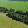 Foto: Canal Rural/Soja Brasil