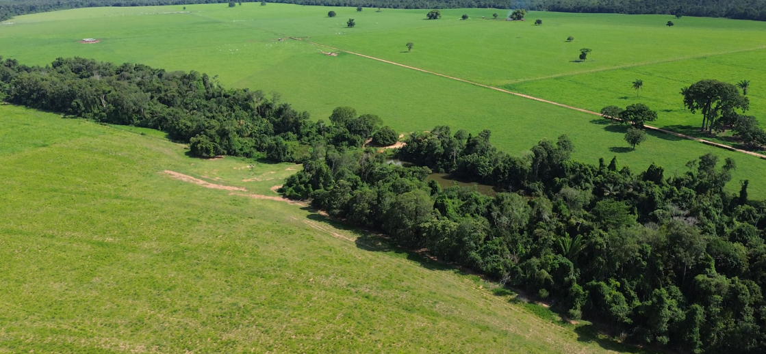 Foto: Canal Rural/Soja Brasil