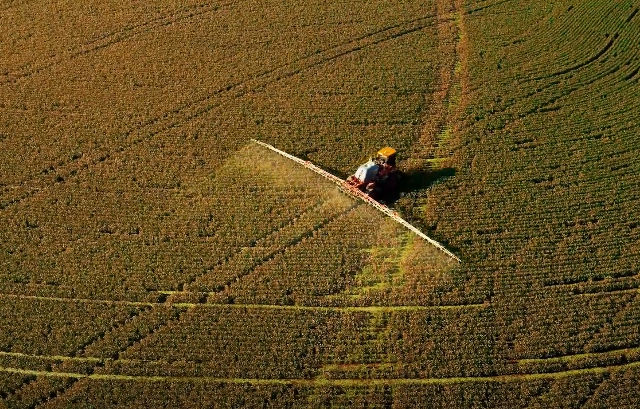 Foto: Canal Rural/Reprodução