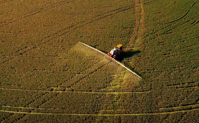 Foto: Canal Rural/Reprodução