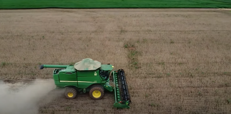 Pragas e plantas daninhas: como driblar as dificuldades na lavoura de soja no pré-plantio?