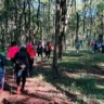 Pessoas caminhando em uma trilha