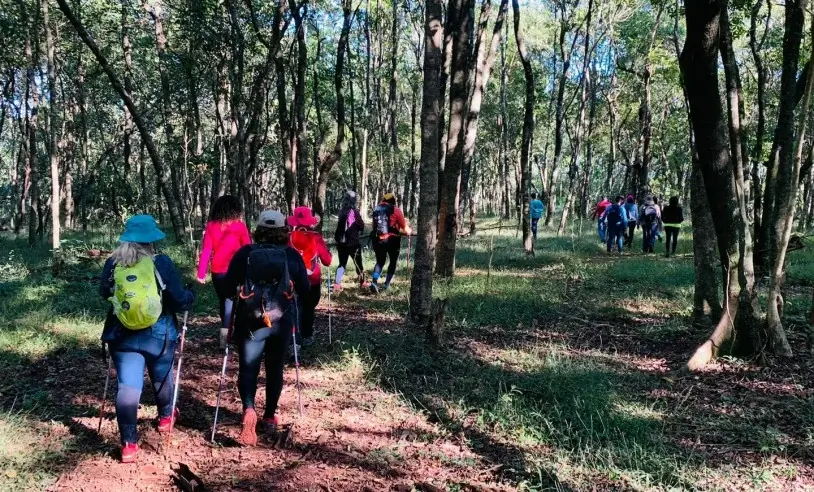 Pessoas caminhando em uma trilha