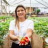 Mulher com morangos nas mãos e a plantação no fundo