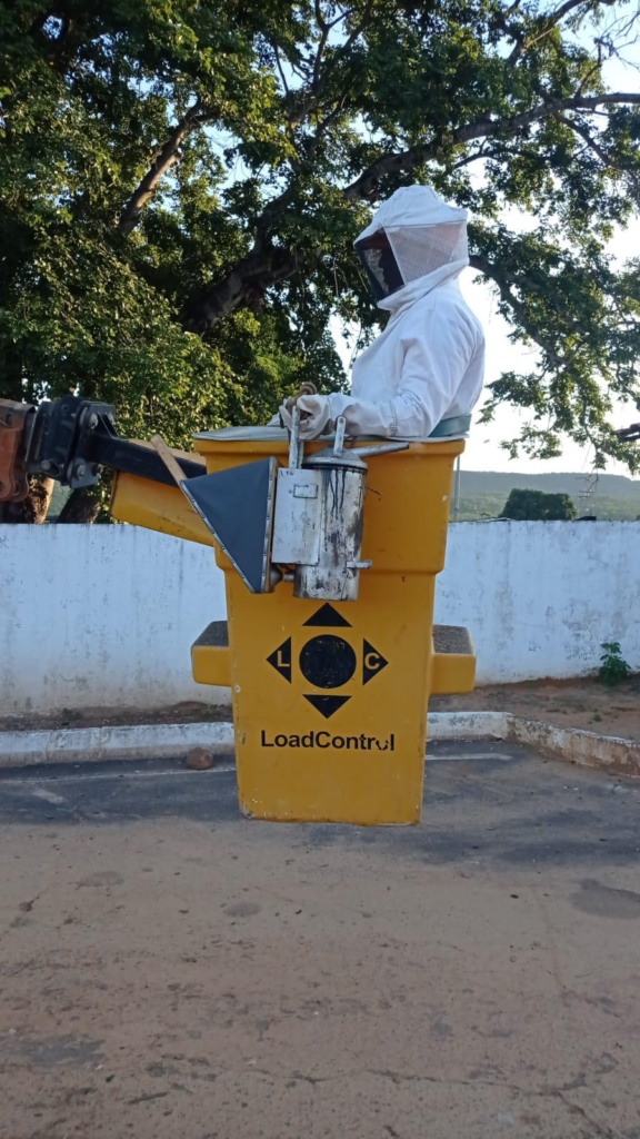 Bombeiros capturam abelhas (Bahia)