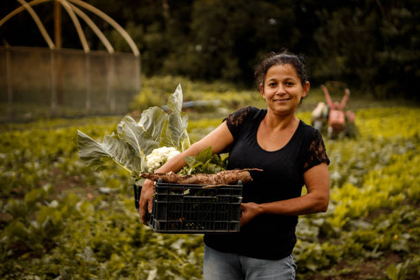 Agricultora com cesta de legumes em horta