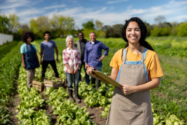 Homens e mulheres em plantação de hortaliças