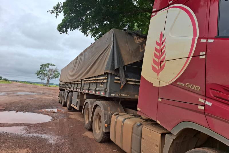 FARINHA TRIGO PARÁ