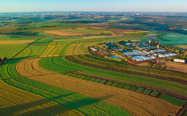 Foto: Embrapa Soja Site 