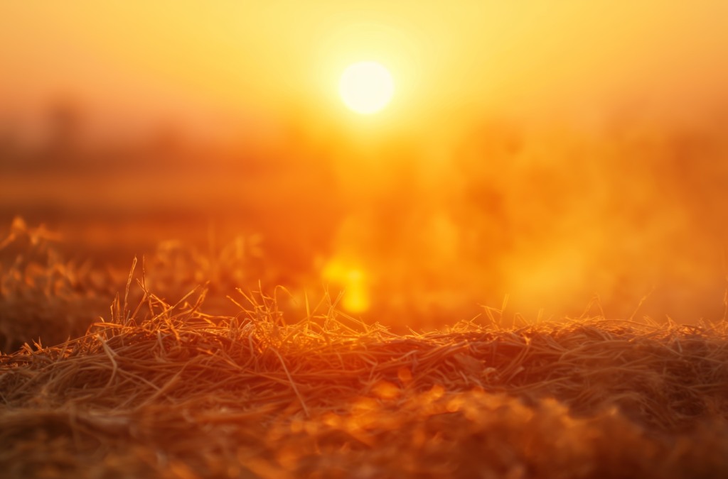 onda de calor onda de calor