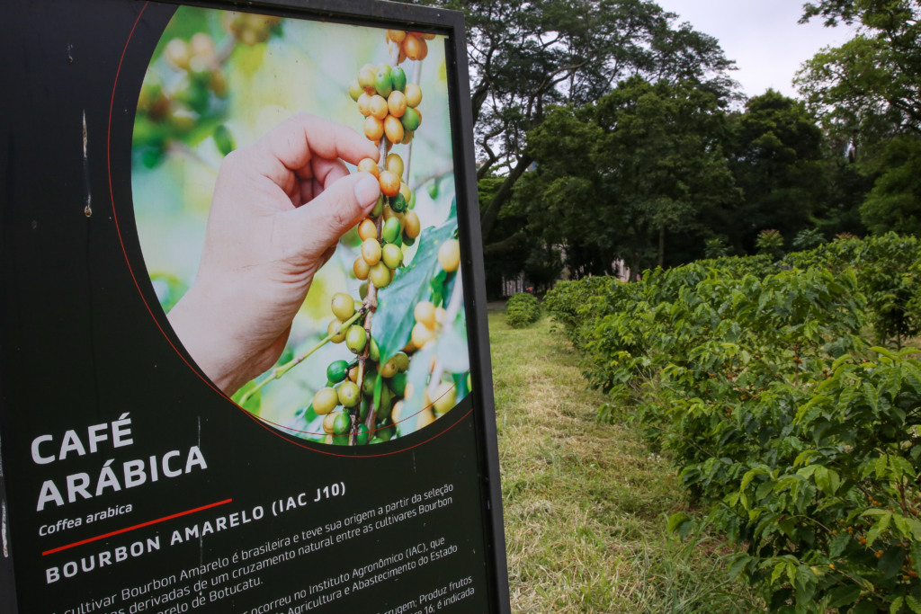 Programa Paulista da Agricultura de Interesse Social (PPAIS) - compra de café