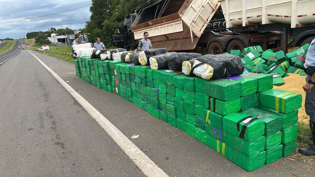 Carregamento de maconha na rodovia Castelo Branco 