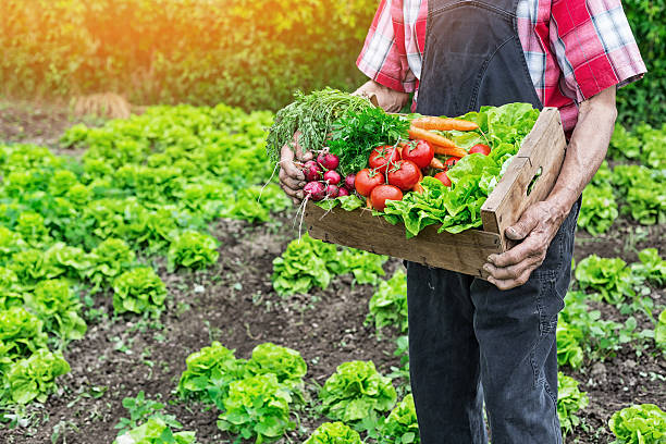 Homem segurando caixa de alimentos