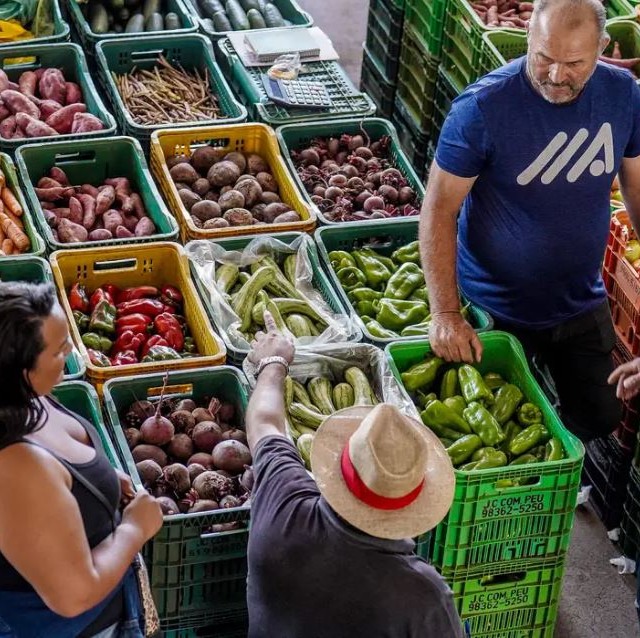 alimentos