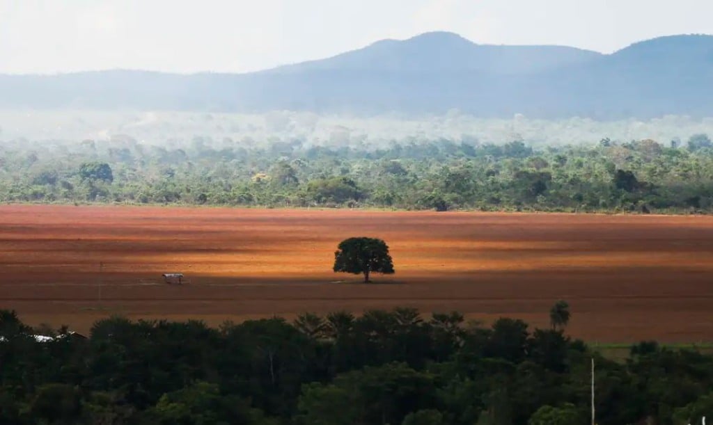 desmatamento cerrado