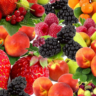 Frutas, Comida, Colheita