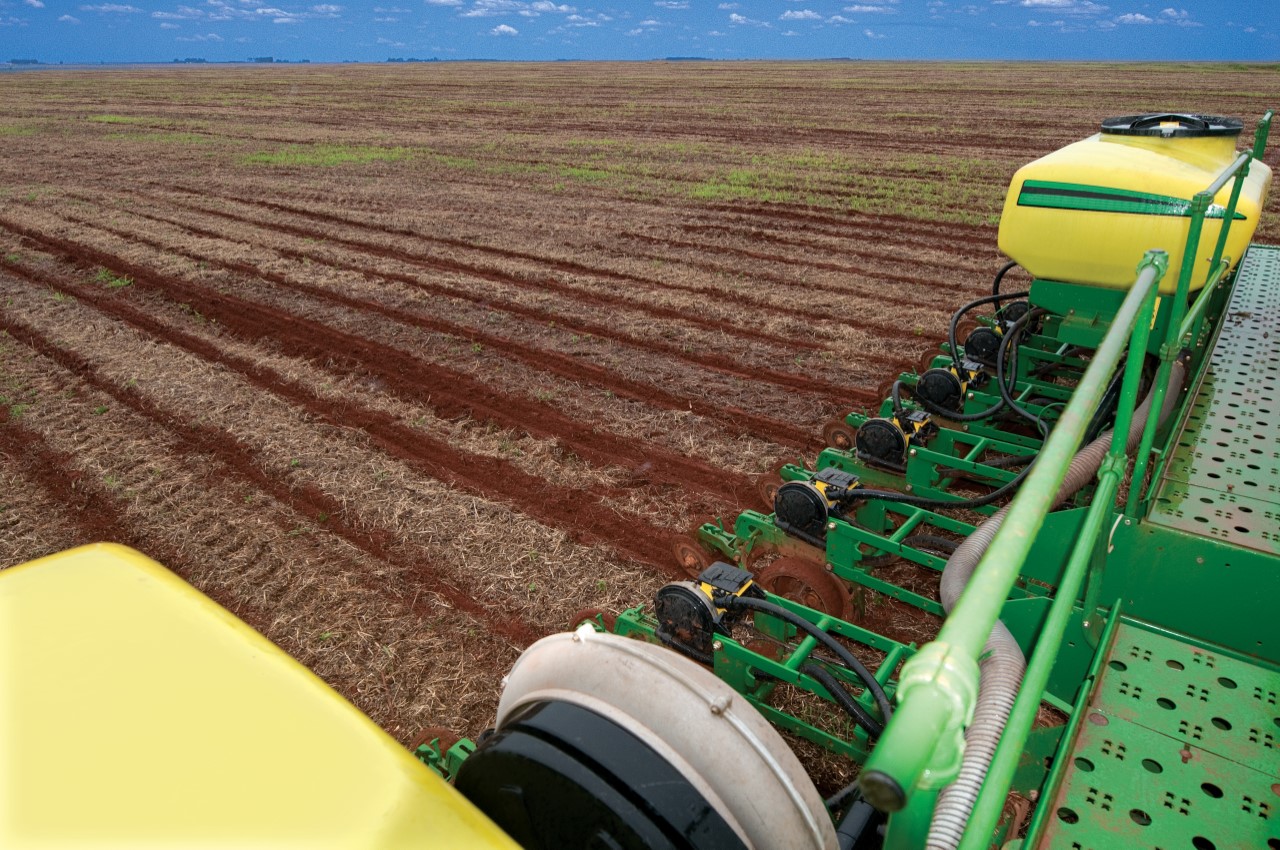 Plantio do algodão é prorrogado até 20 de fevereiro