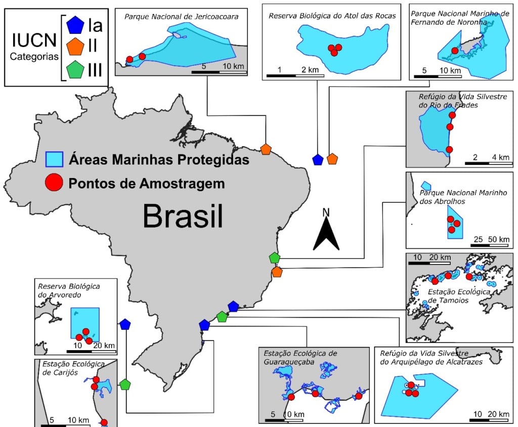 Mapa da presença de microplástico na costa brasileira