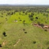 Selo Verde; plataforma que fornece diagnósticos sobre a conformidade ambiental das propriedades rurais