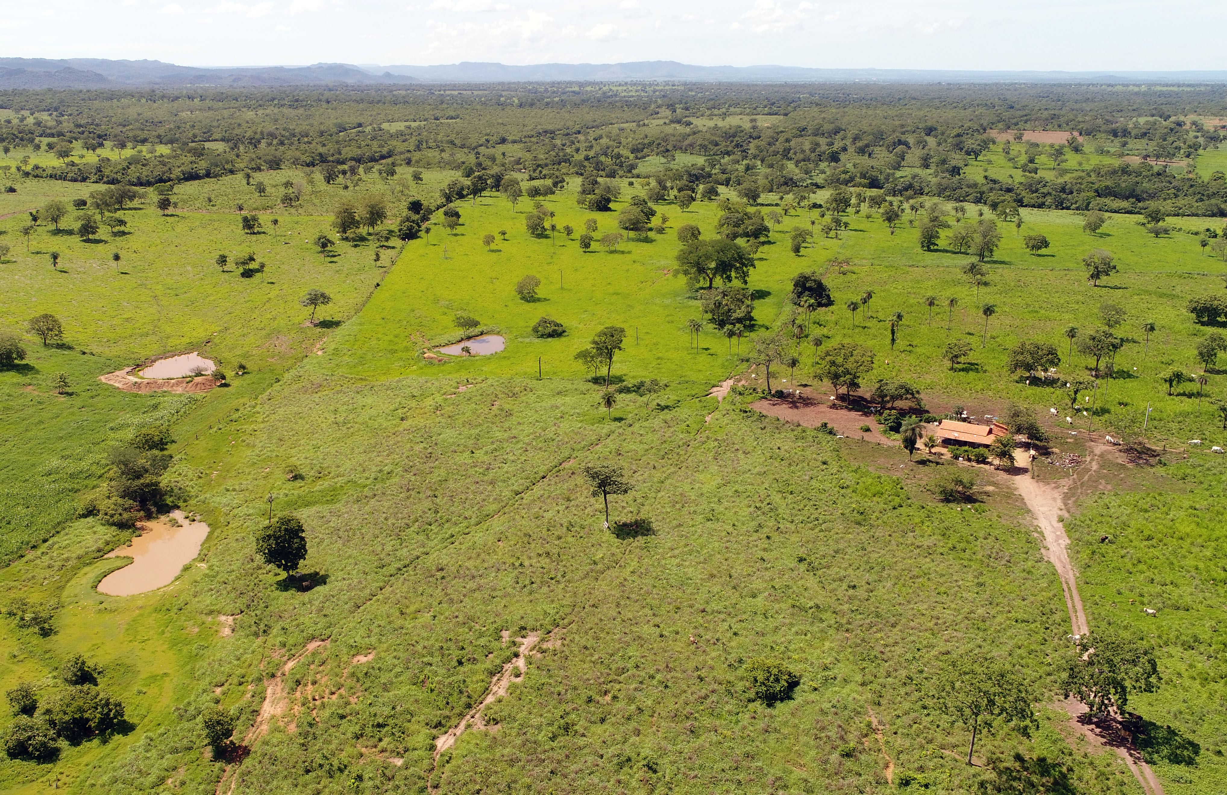 Selo Verde; plataforma que fornece diagnósticos sobre a conformidade ambiental das propriedades rurais