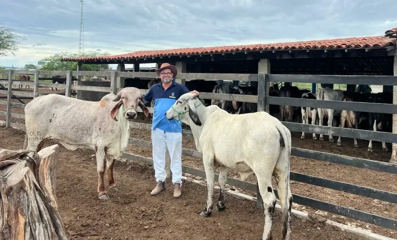 Higor Bezerra com seu rebanho em Angicos/RN