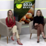 Foto: Programa Soja Brasil 
