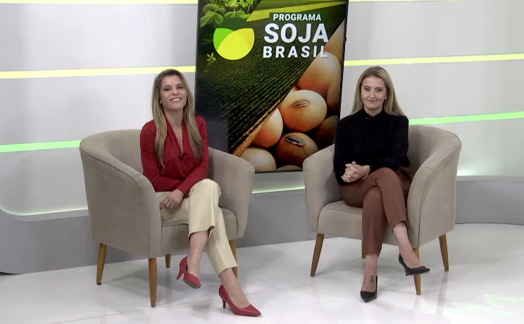 Foto: Programa Soja Brasil 