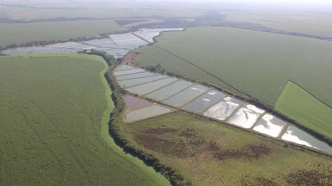 viveiro para aquicultura