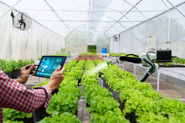 O que mais te ajudaria a usar mais tecnologia no campo?