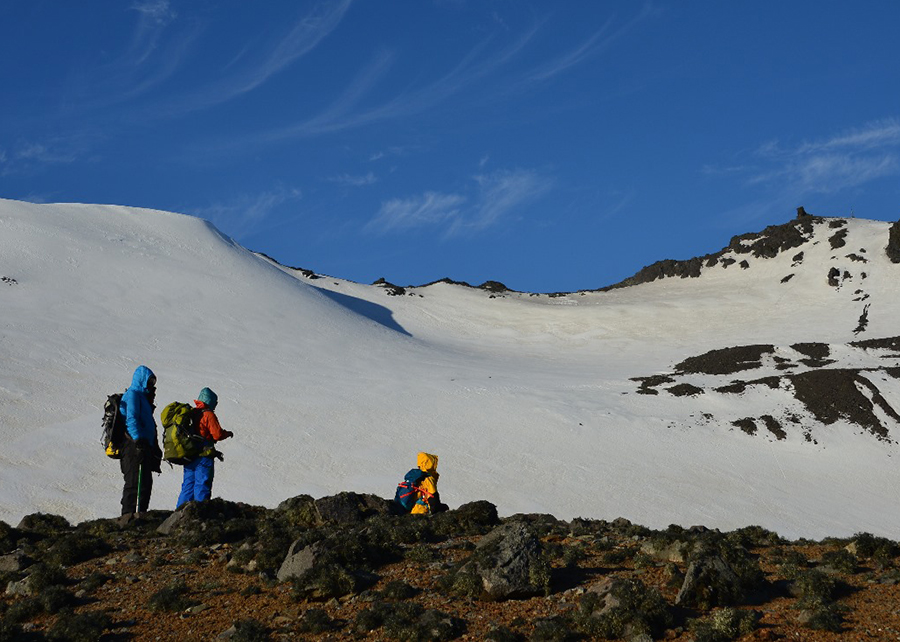 pesquisa na Antártica