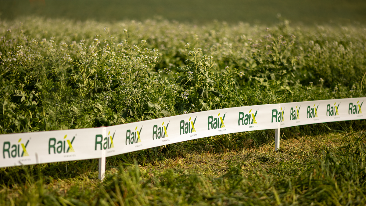 Raíx