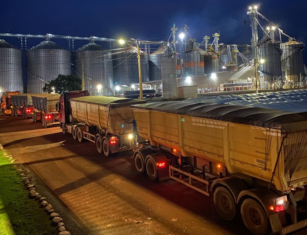 Cooperativa movimenta mais de 4 mil caminhões com grãos no Tocantins; safra 2024/25 Cooperativa movimenta mais de 4 mil caminhões com grãos no Tocantins; safra 2024/25