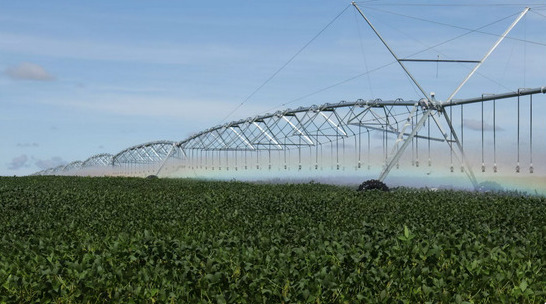 Fazenda Nova Piratininga possui plantação de soja e milho