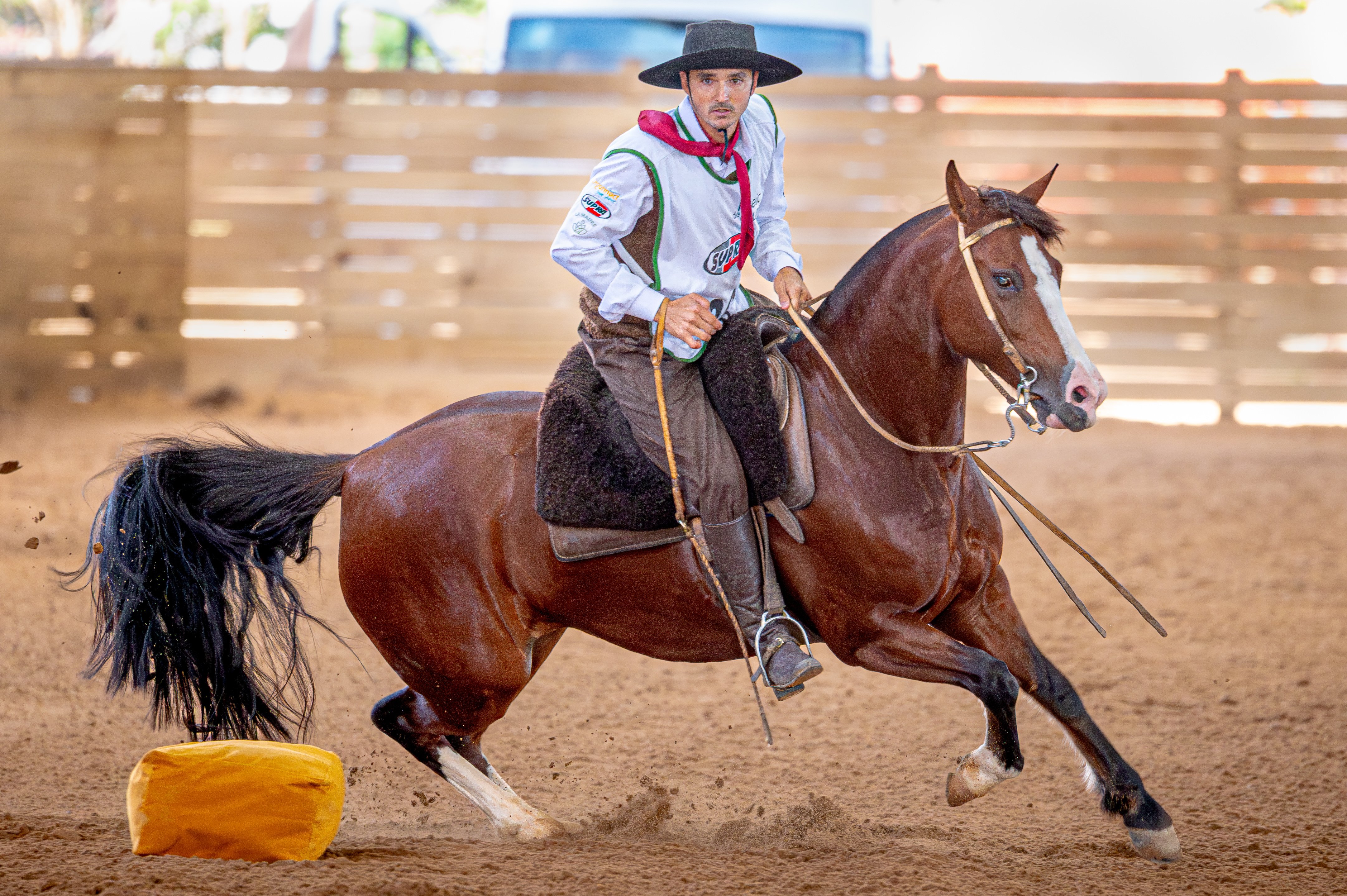 Égua La Patria Tranca - vencedora Classificatória Gaúcha Freio de Ouro