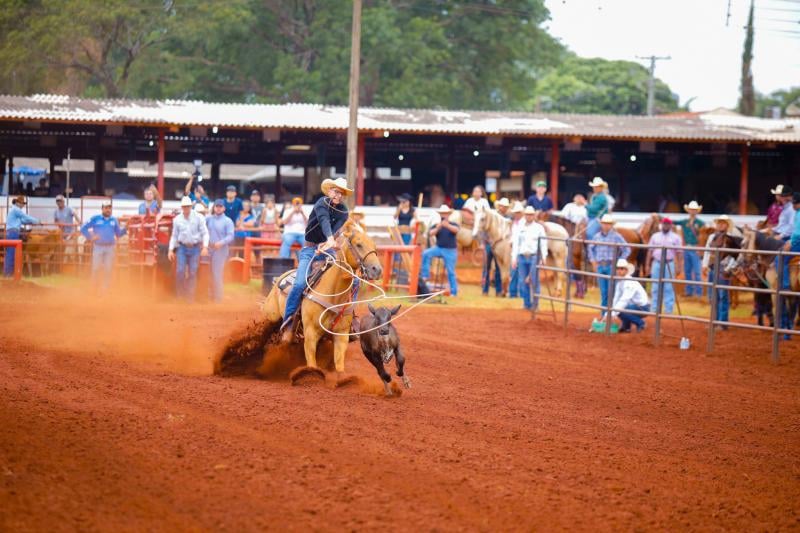 Competição com cavalos