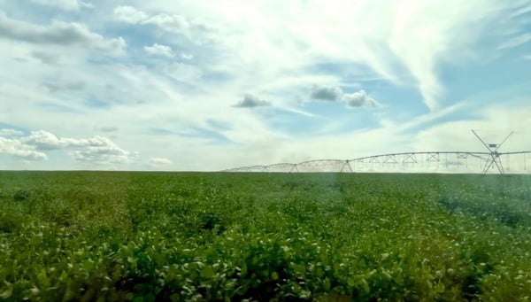 área de plantio em Angola