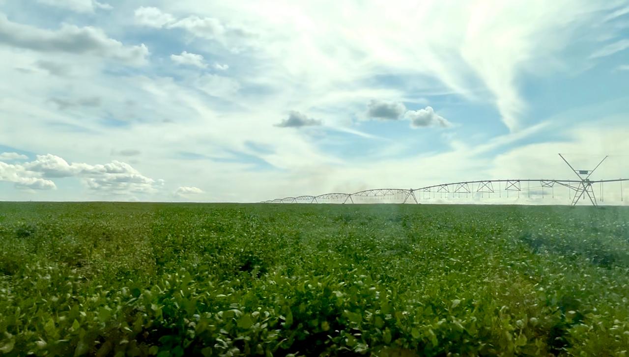 área de plantio em Angola