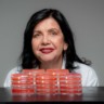 Mariangela Hungria, pesquisadora da Embrapa Soja, é laureada com Prêmio Mundial da Alimentação