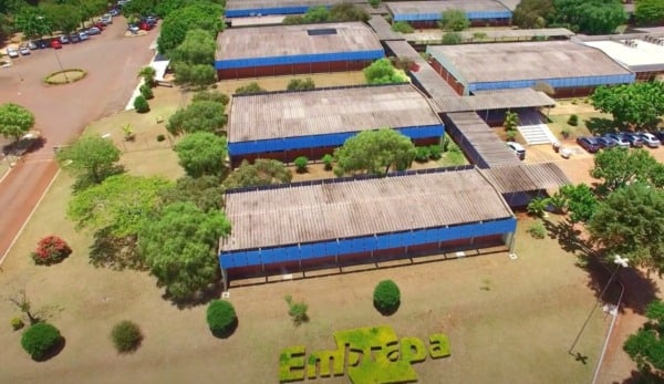 Embrapa Soja