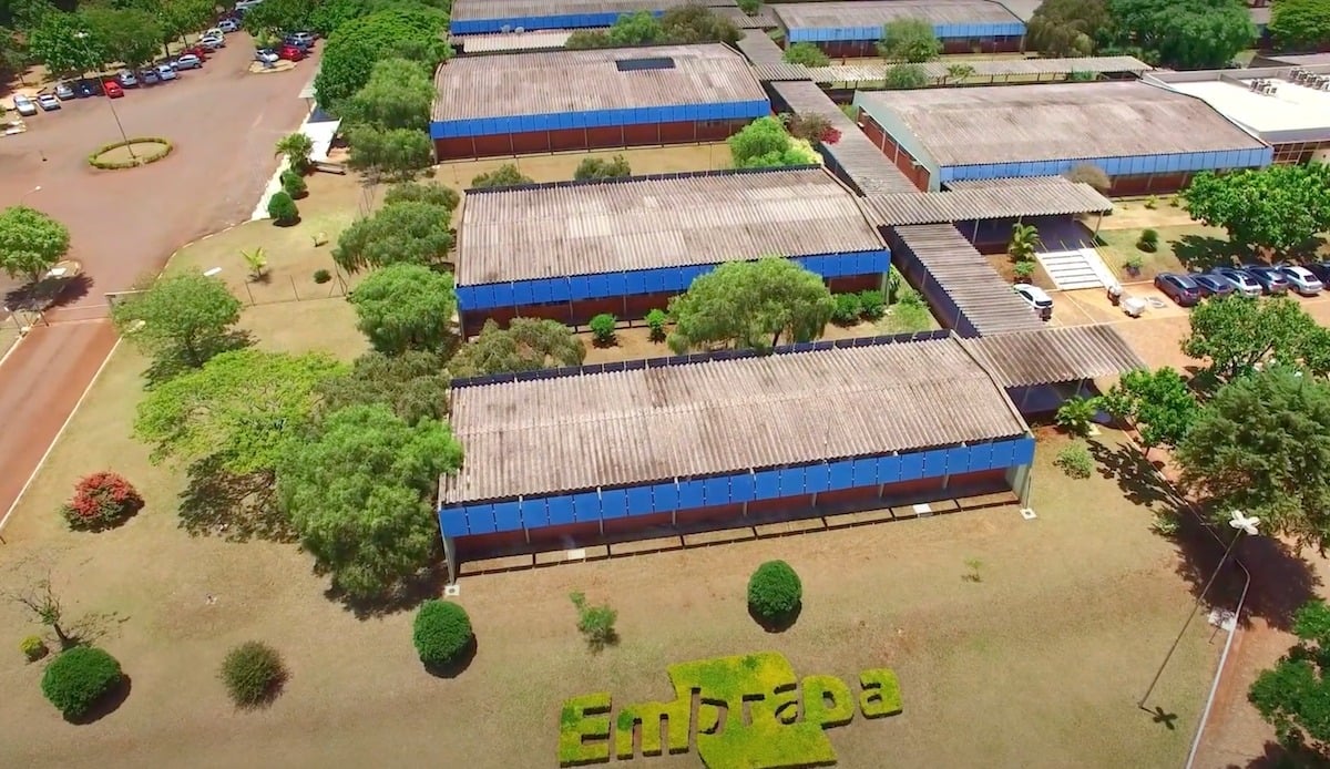 Embrapa Soja