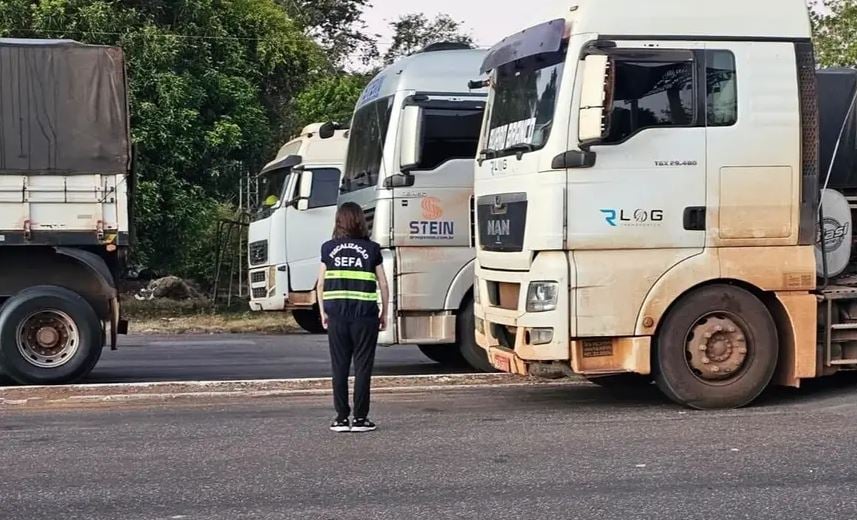 apreensão de carga de soja - Pará
