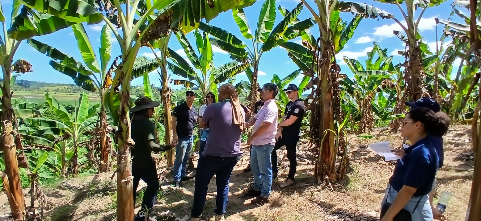 Capacitação de profissionais em Alagoas