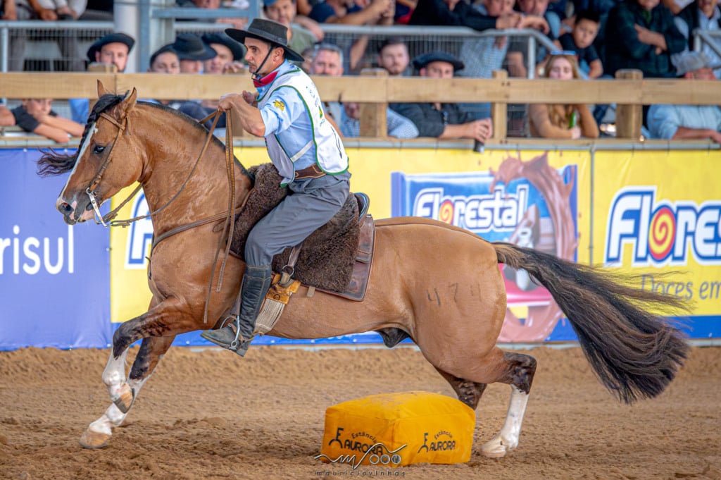 bocal de ouro macho